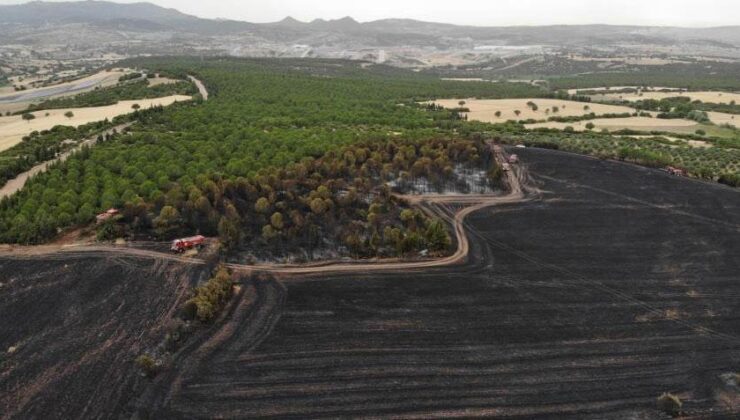 Çanakkale’de bir ayda 132 yangın! Acı bilanço açıklandı