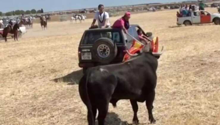 İspanya’da boğa koşusu festivalinde boğa, 20 yaşındaki genci boynuzlayarak öldürdü