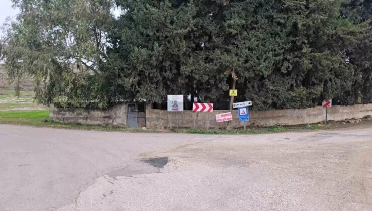 Hatay’da Kuduz Köpek Alarmı: Mahalle Karantinaya Alındı