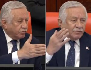 MHP’li Celal Adan’dan AK Partili vekile: Terbiyeli ol