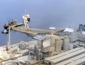 Müsilaj krizinden hatırlanan BAGFAŞ’a 1 milyon 300 bin lira para cezası